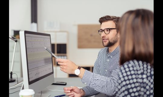 computer analyst