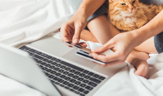 Woman looks at laptop with her cat and credit card